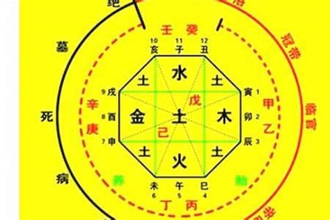 五行忌土|八字算命：八字忌土是什么意思